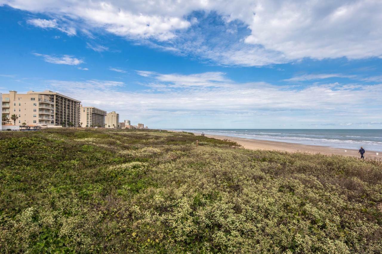 Palm Tree Escape Lejlighed South Padre Island Eksteriør billede
